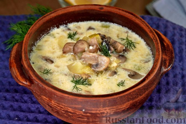 Суп с шампиньонами, кабачками и плавленым сыром