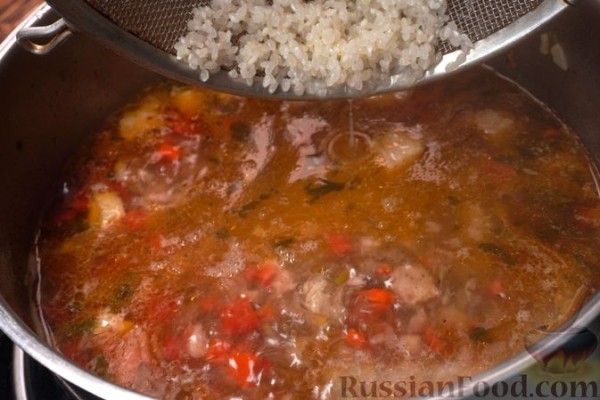 Рисовый суп со свининой, овощами и сметаной