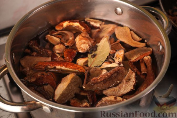 Польский грибной суп