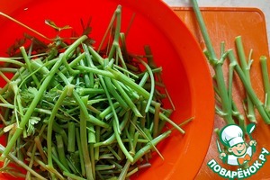 Зеленое пюре из стеблей зелени "Экономное"